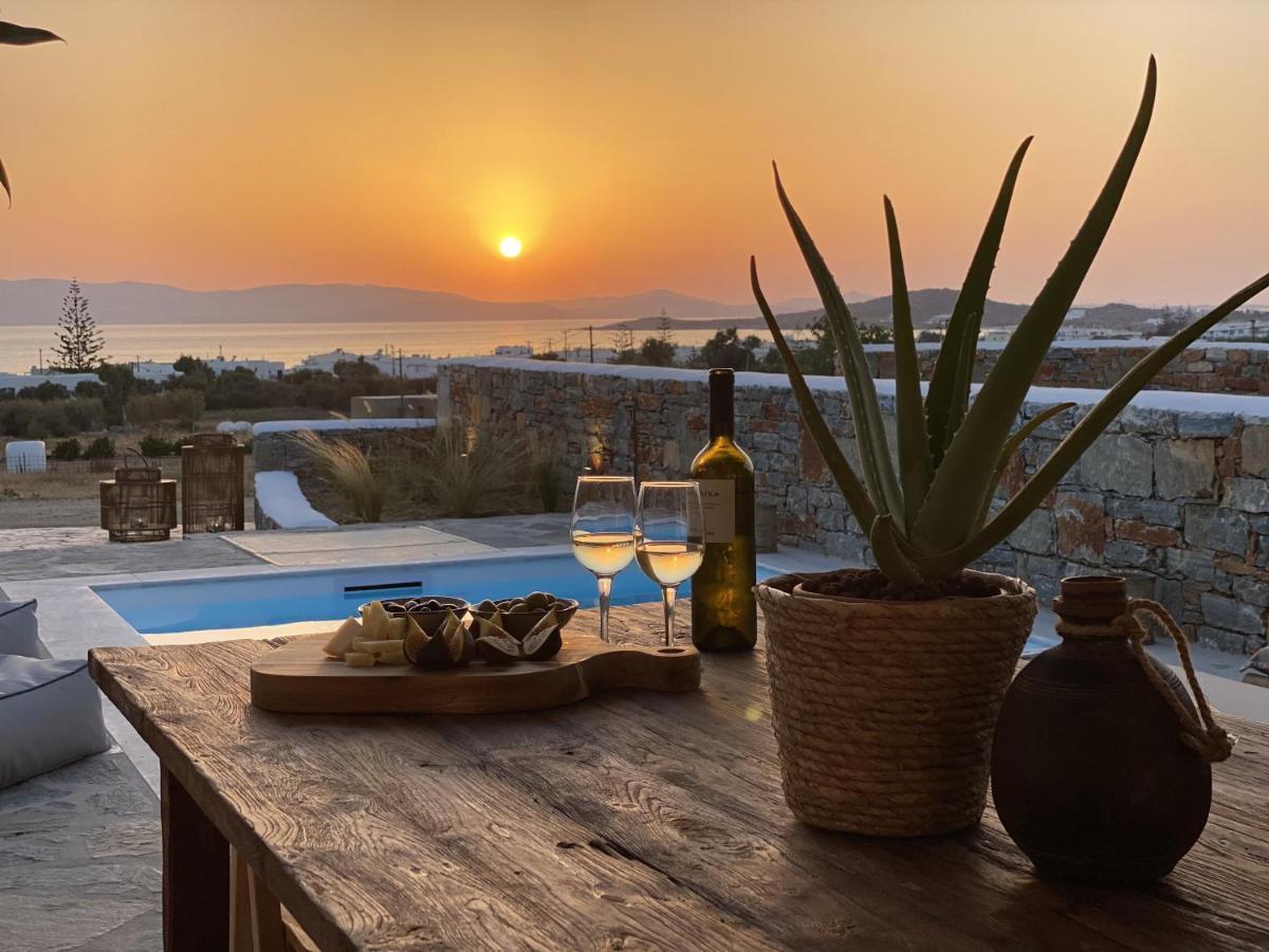 Villa Ypsilon Naxos - Luxury Holiday House With Amazing Sea View & Private Pool Agia Anna  Buitenkant foto
