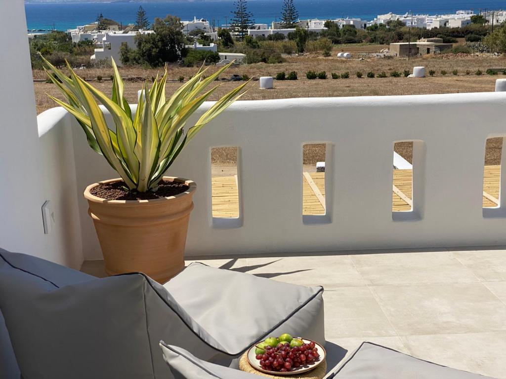 Villa Ypsilon Naxos - Luxury Holiday House With Amazing Sea View & Private Pool Agia Anna  Buitenkant foto
