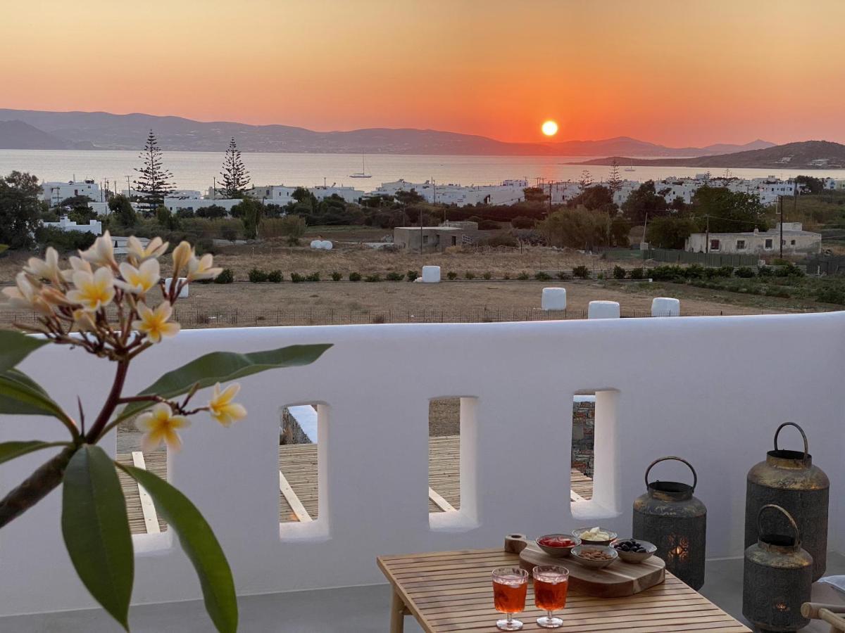 Villa Ypsilon Naxos - Luxury Holiday House With Amazing Sea View & Private Pool Agia Anna  Buitenkant foto
